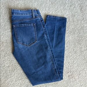 Classic Blue Denim Skinny Jeans